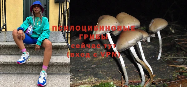 бошки Богданович
