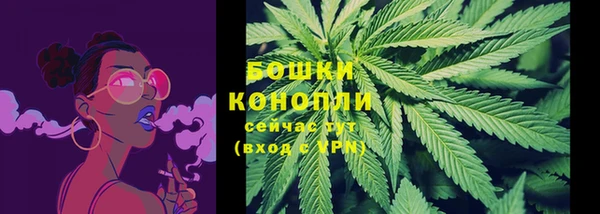 бошки Богданович