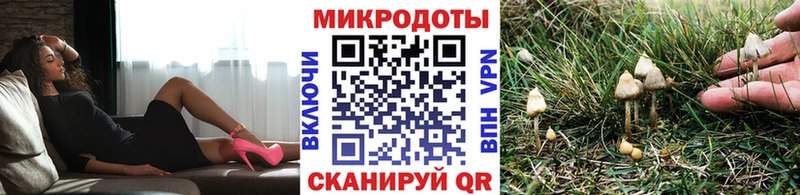 Купить Талица Галлюциногенные грибы ЛСД
